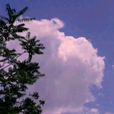 果盘三国群英纪bt版下载